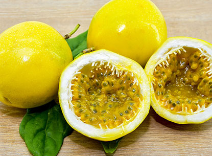 Yellow Passion Fruit